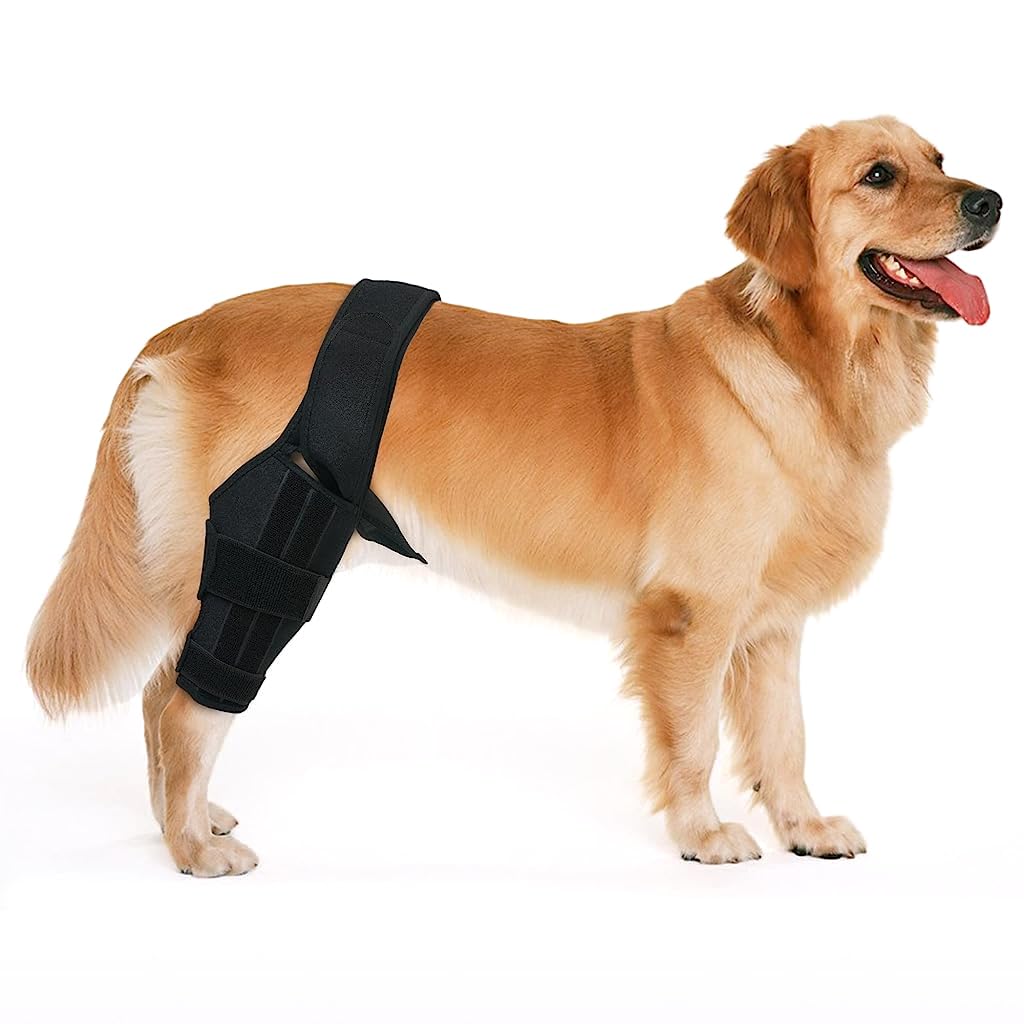 Qpets Dog Leg Brace, Leg Braces for Injured Dog Dog Leg Brace Support for Rehabilition, Adjustable Knee Support for Dog, Pet Knees Protector, Dog Hind Legs Brace for Large Dogs (Size: M) Qpets Dog Leg Brace, Leg Braces for Injured Dog Dog Leg Brace Support for Rehabilition, Adjustable Knee Support for Dog, Pet Knees Protector, Dog Hind Legs Brace for Large Dogs (Size: M)